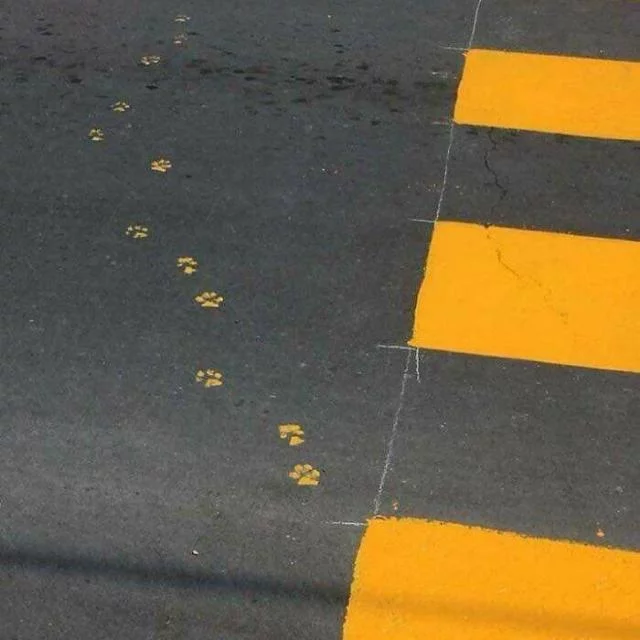 Grupo Putaria WhatsApp: Sexo na rua gay sp dd 11 +18 - Entrar Agora