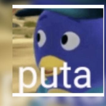 Grupo para amizade
